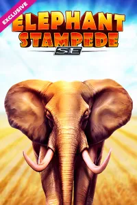 Dreams Casino Elephant Stampede SE
